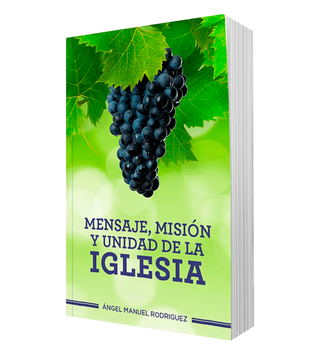 MENSAJE, MISIÓN Y UNIDAD DE LA IGLESIA1