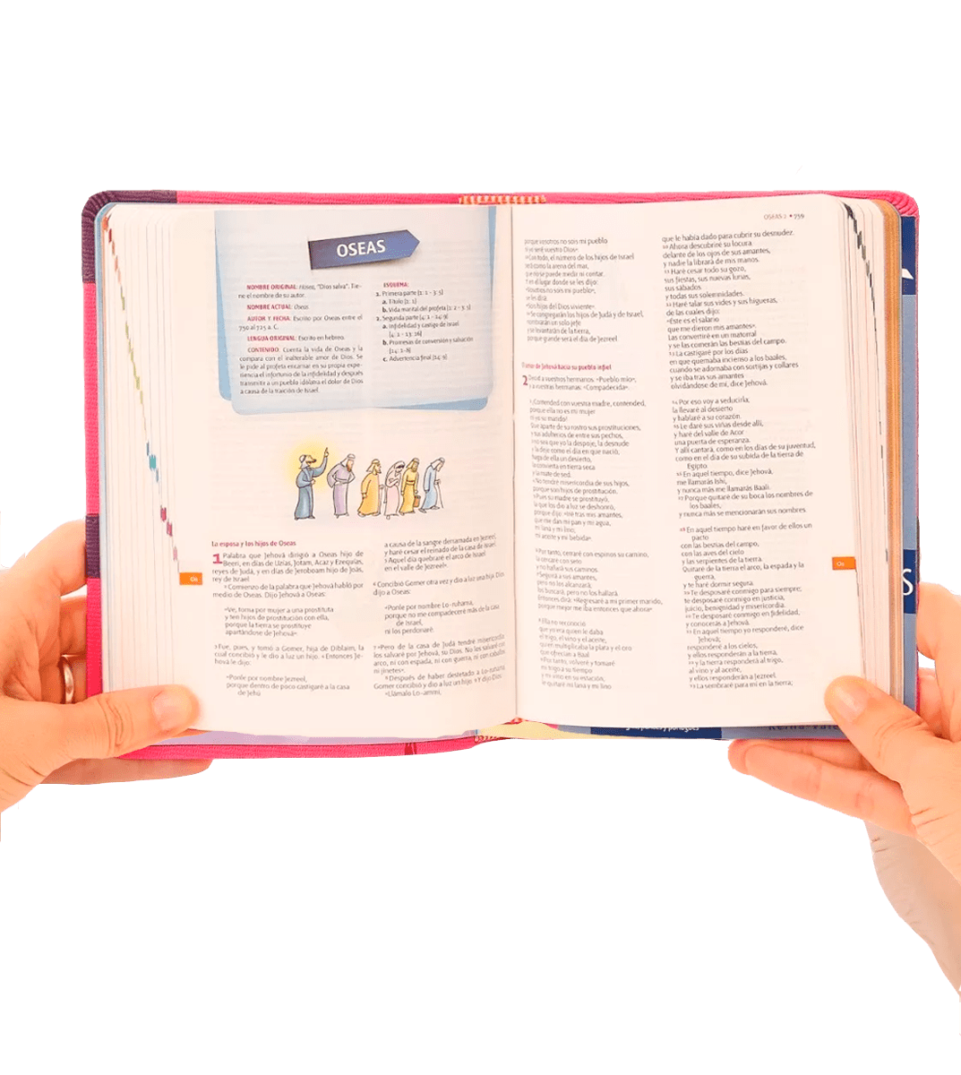 BIBLIA DE CONQUISTADOR - VERDE3