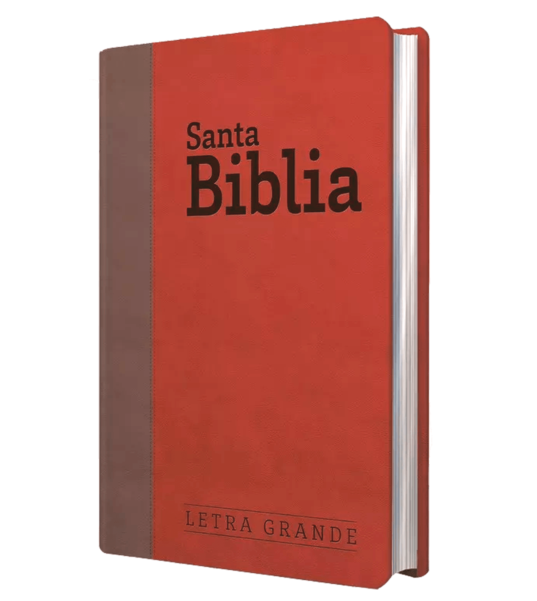 Biblia Letra Grande con Himnario - Granate y chocolate2