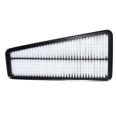 FILTRO AIRE C3648 TOYOTA 4RUNNER 02-09 - FJ CRUISER 08-161