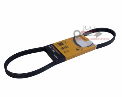 CORREA DIRECCION HIDRAULICA NISSAN PRIMERA P11 95-01 4PK845