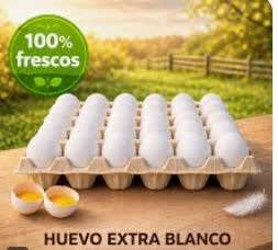 HUEVOS EXTRA BLANCO DSITINTAS MARCAS2