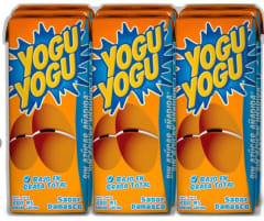 YOGU YOGU DAMASCO 200 ML