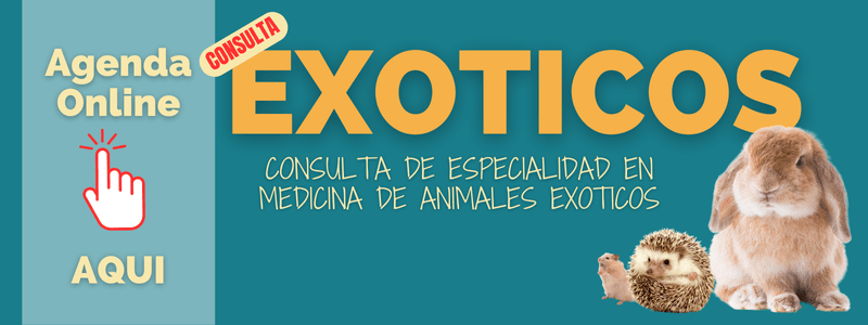 AGENDA EXOTICOS