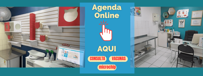 Agenda online
