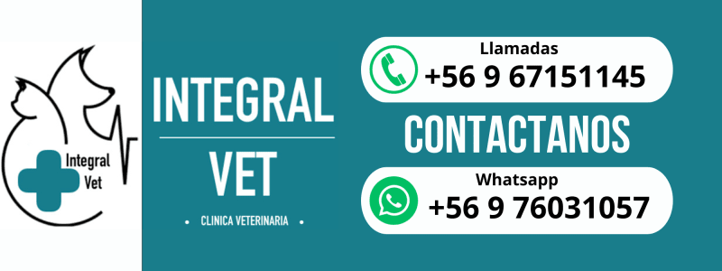 disen osinti tulo 59145