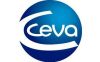 Ceva