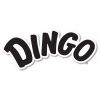 Dingo