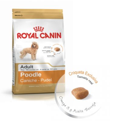 Royal Canin Poodle Adult 3 kg - Valor Promoción (antes $27.300)