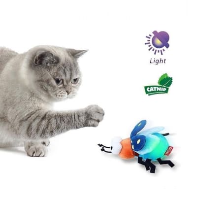 Luciernaga Shining Friendz Gigwi
