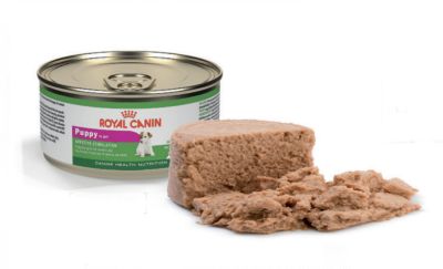 Royal Canin Lata Puppy - Valor Promoción (antes $2.300)