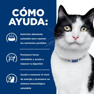 Hills Lata I/D Digestive Care Feline - Valor Promoción (antes $5.190)