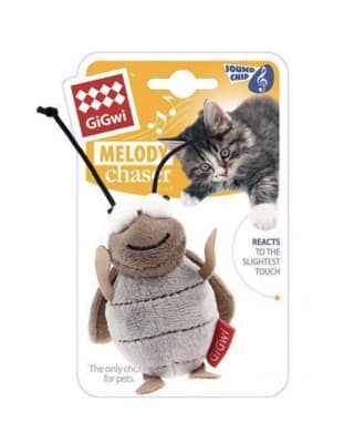 Grillo Melody Chaser Gigwi1