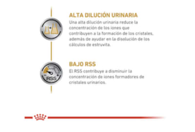Royal Canin Urinary S/O Felino 1,5 kg - Valor Promoción (antes $19.990)