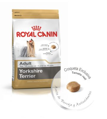 Royal Canin Yorkshire Terrier Adult1