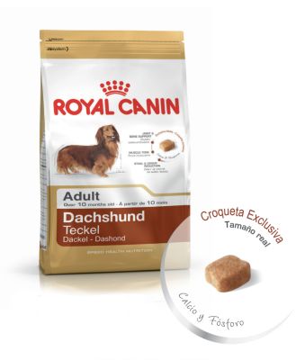 Royal Canin Dachshund Adult 2,5 kg 2,5 kg - Valor Promoción (antes $22.800)