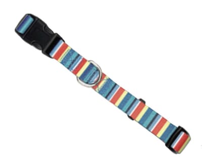Collar Diseños Small Wonder Dog