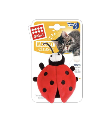 Chinita Melody Chaser Gigwi1