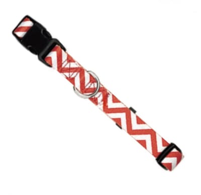 Collar Diseños Xlarge Wonder Dog