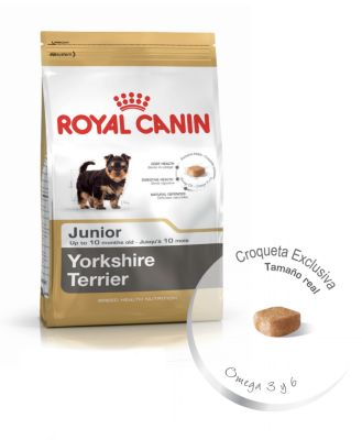 Royal Canin Yorkshire Terrier Puppy1