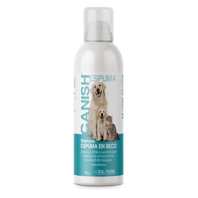 Canish Shampoo Espuma en Seco