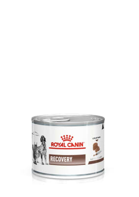 Royal Canin Lata Recovery - Valor Promoción (antes $4.200)1
