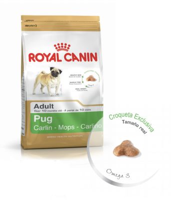 Royal Canin Pug Adult 2,5 kg - Valor Promoción (antes $22.800)