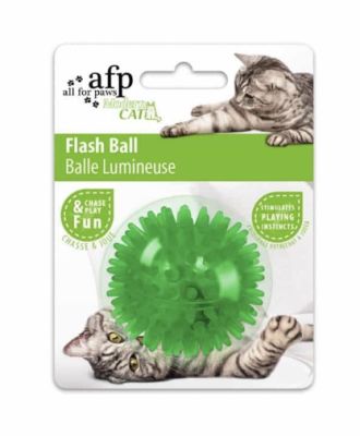 Flash Ball Afp