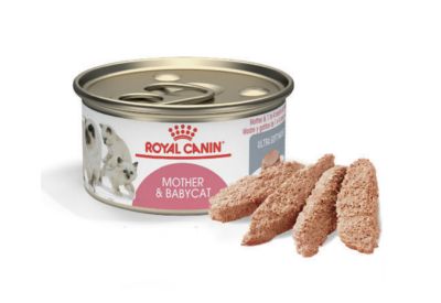 Royal Canin Lata Mother & Babycat - Valor Promoción (antes $2.200)1
