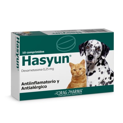 Hasyun