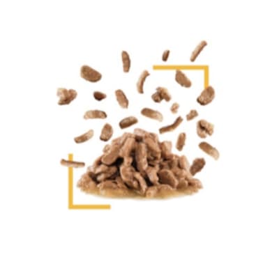 Royal Canin Pouch Sensory Taste - Valor Promoción (antes $1.890)