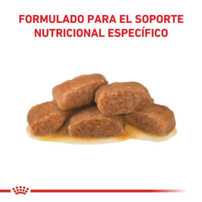 Royal Canin Pouch Gastrointestinal Felino - Valor Promoción (antes $1.990)