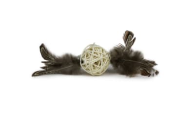 Pelota de Ratan con Pluma hey!