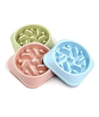 Plato de Alimentación Lenta1