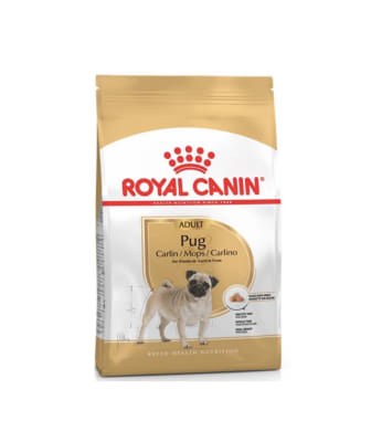Royal Canin Pug Adult 2,5 kg - Valor Promoción (antes $22.800)1