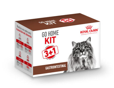 Go Home Kit 3+1 Lata Gastrointestinal Feline2