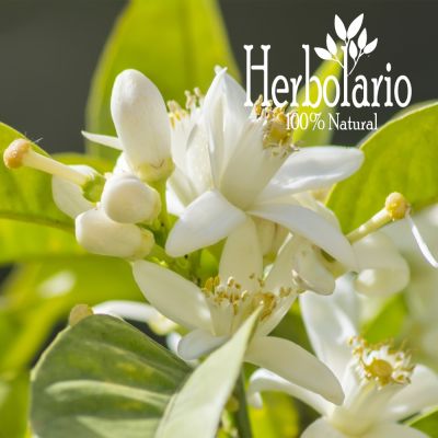 Hidrolato de Azahar 500 ml Hidrolato de Azahar 500 ml
