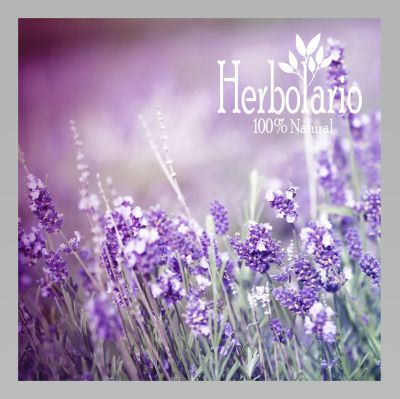 Hidrolato de Lavanda 500 ml Hidrolato de Lavanda 500 ml