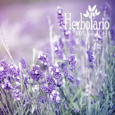 Lavanda Aceite Esencial Lavanda Aceite Esencial