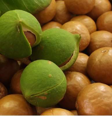 Aceite de Macadamia Aceite de Macadamia