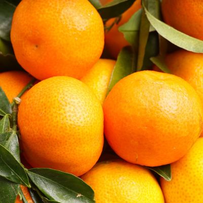 Mandarina Aceite Esencial 5 ml Bio Mandarina Aceite Esencial 5 ml Bio