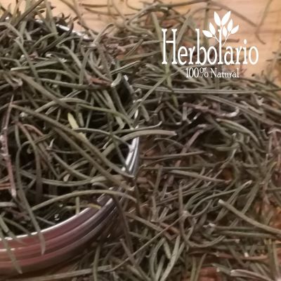 Romero Hierba Orgánica 20 gr Romero Hierba Orgánica 20 gr