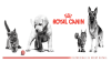 Royal Canin