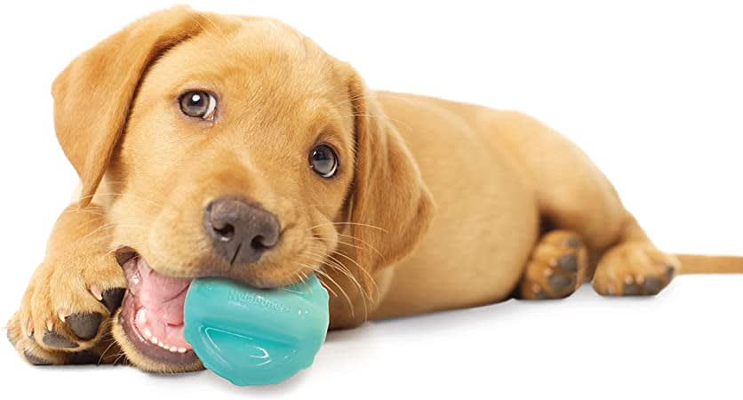 nylabone giggle ball