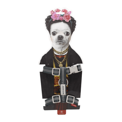 Arnes Pets