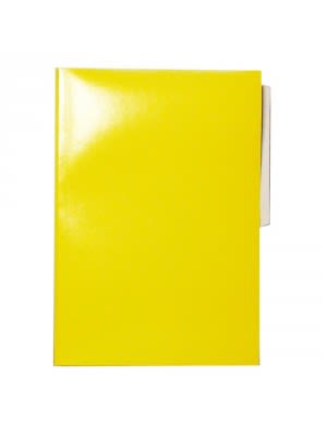 CARPETA PIGMENTADA AMARILLA