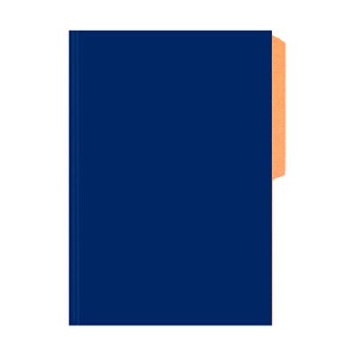 CARPETA PIGMENTADA AZUL