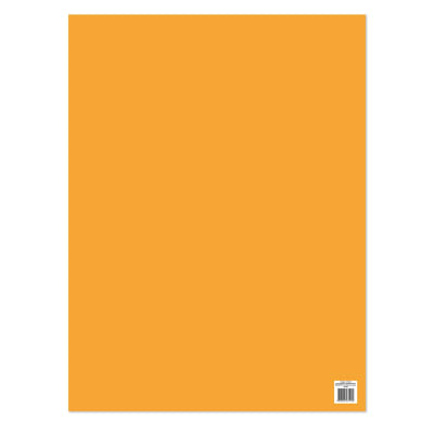 CARTULINA FLUORESC.PROARTE 47,5x66 NARANJA 180grs