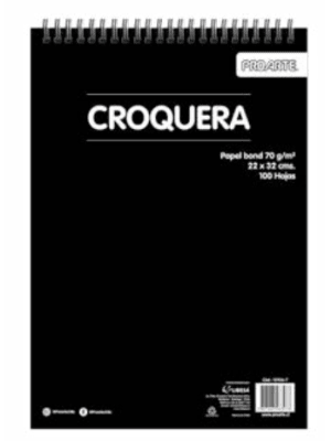 CROQUERA PROARTE 22X32 CM 100 HOJAS 