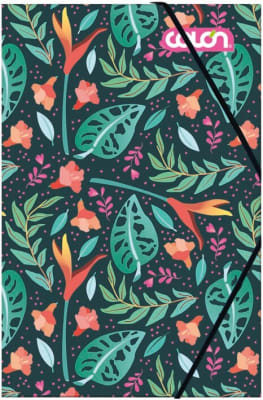 CARPETA CARTULINA CON ELASTICOS FEMINA COLON